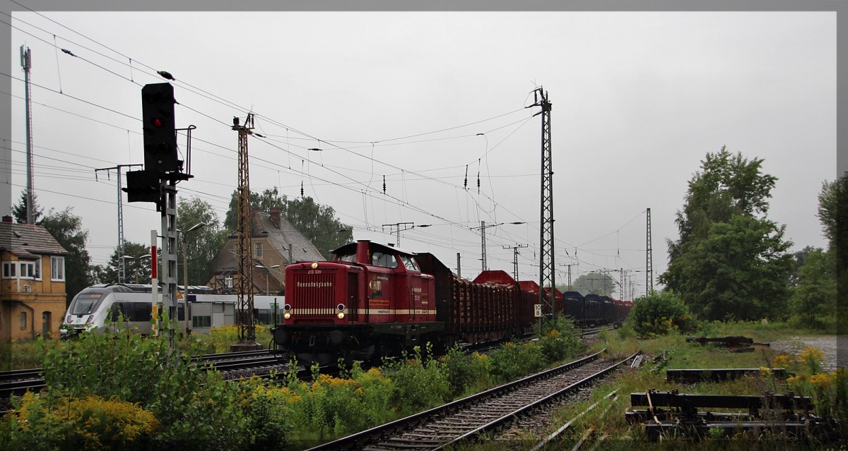 213 339 bei der Durchfahrt von Leipzig - Thekla am 19.08.2015