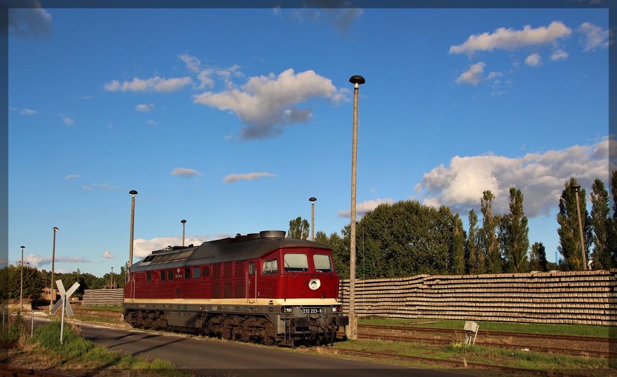 232 223 der DGT abgestellt in Neustrelitz Süd am 27.09.2015