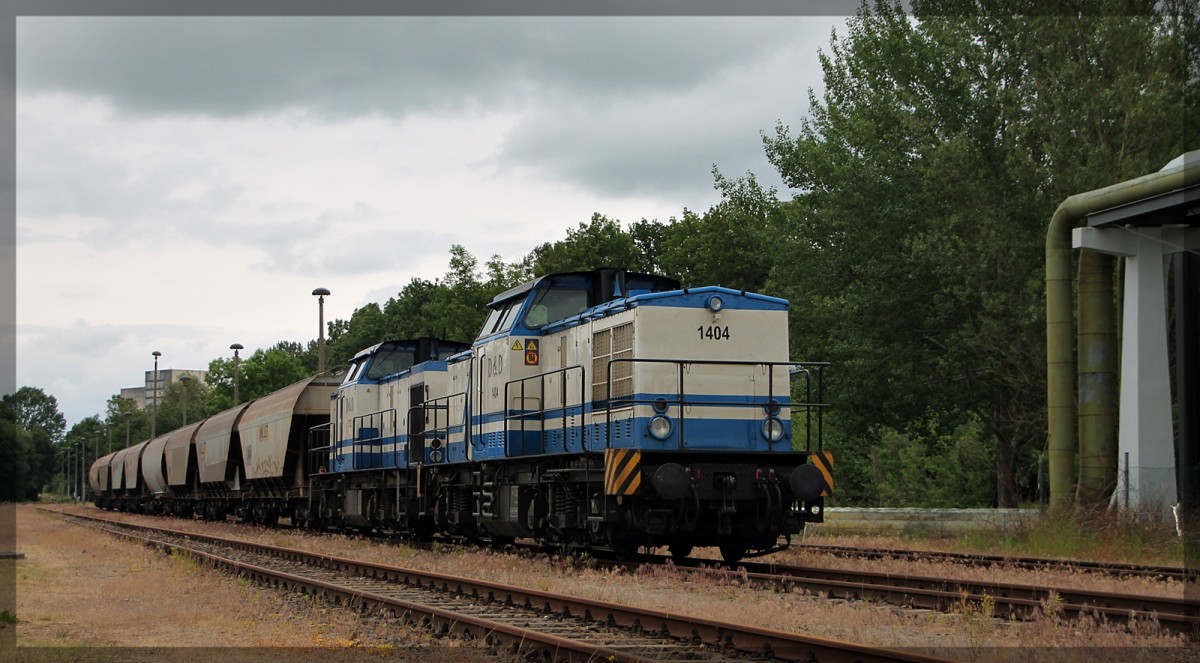 203 221 und 203 130 (1702 und 1404) von D&D abgestellt im IAB Neubrandenburg am 16.06.2015