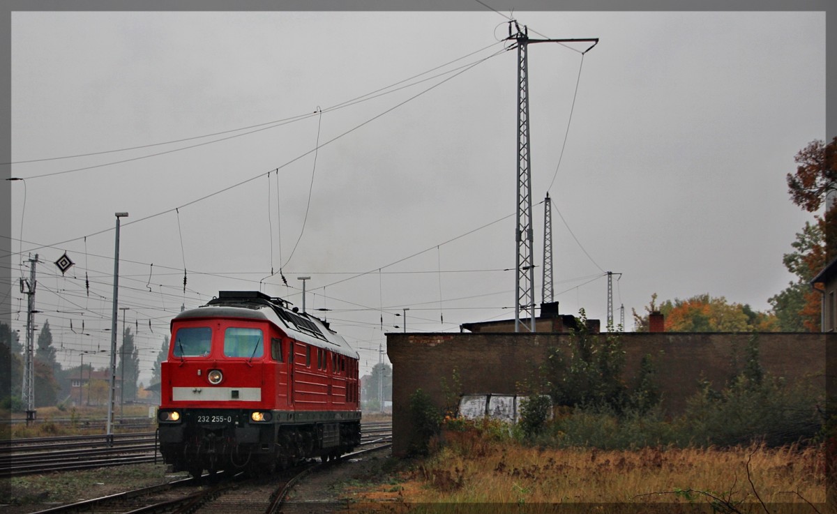 232 255 bei einer Rangierfahrt in Neustrelitz am 15.10.2015