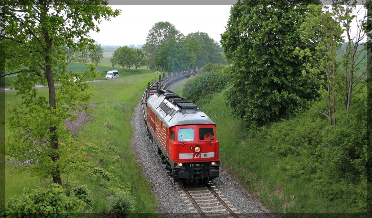 233 306 bei Klein Plasten auf dem Weg in Richtung Möllenhagen am 28.05.2015
