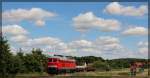 br-232233234/440164/232-469-mit-ihrem-grenzlastigen-zug 232 469 mit ihrem grenzlastigen Zug in Klein Plasten am Bahnübergang in Richtung Kargow (Meckl.) aus Möllenhagen kommend am 30.06.2015