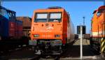 BR 145/485641/145-082-145-cl-002-von 145 082 (145 CL 002) von EKO abgestellt in Stralsund (Hafen) am 17.03.2016