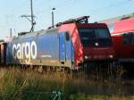 BR 482/179038/die-von-der-locon-ag-gemietete Die von der LOCON AG gemietete 482 040 im Juli 2011 im Bahnhof Grimmen. Der Zug kam von Sassnitz-Lancken und fuhr nach Neubrandenburg (mit E-Traktion) und danach weiter nach Kleeth. 
